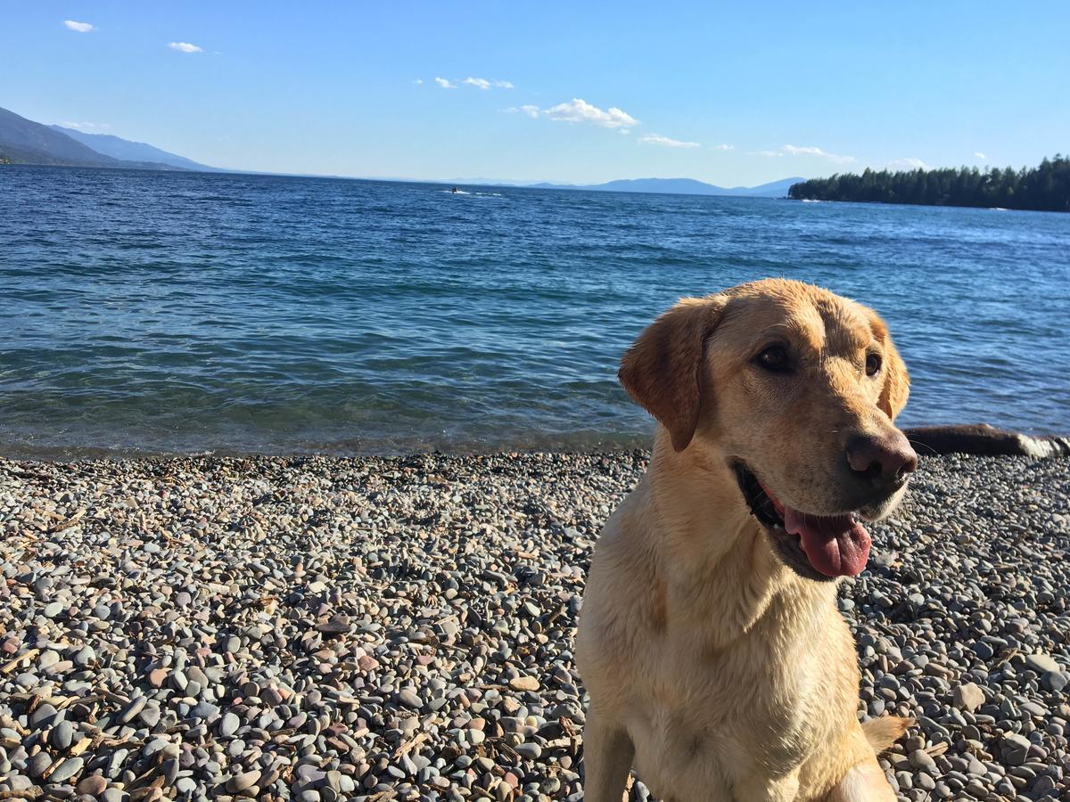 Flathead Lake Resort Woods Bay Eksteriør bilde